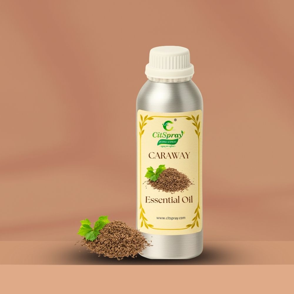 Caraway Essential Oil – Digestive Support