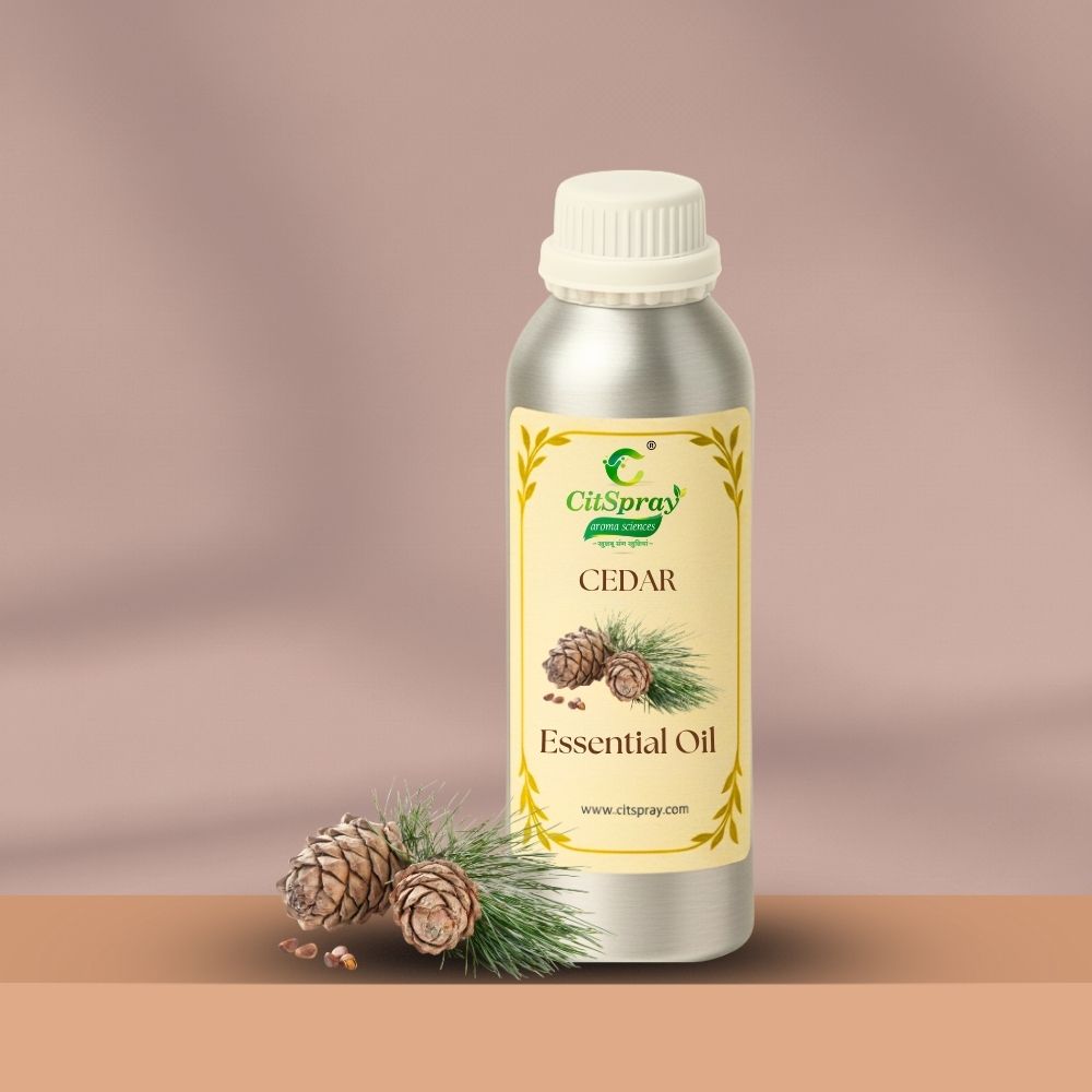 Cedar Essential Oil – Grounding