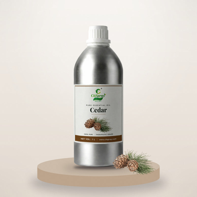 Cedar Essential Oil