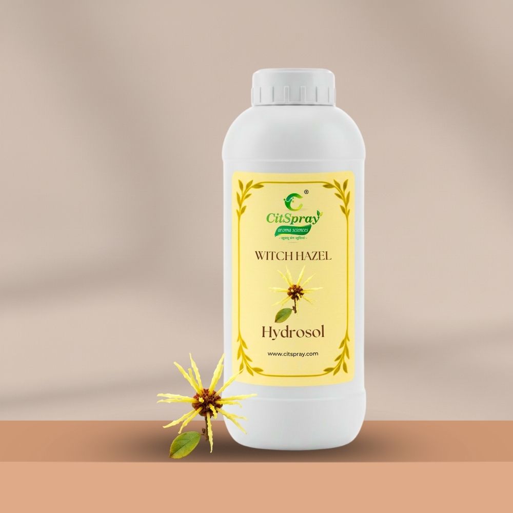 Witch Hazel Hydrosol – Skin Toning