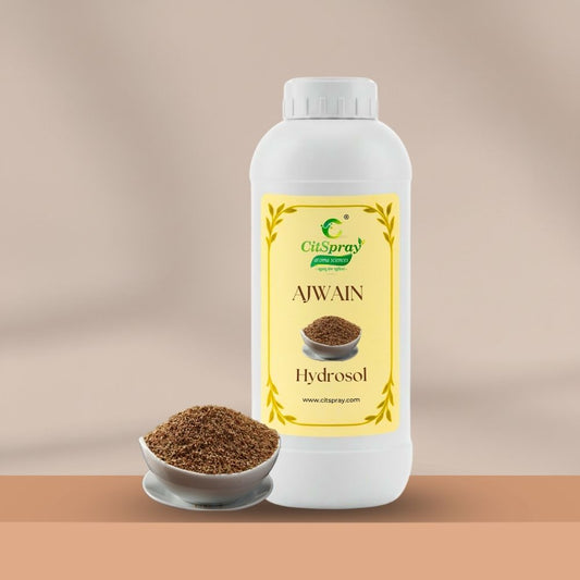 Ajwain Hydrosol – Digestive Support
