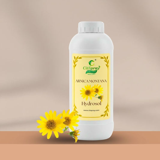 Arnica Montana Hydrosol – Bruise Relief