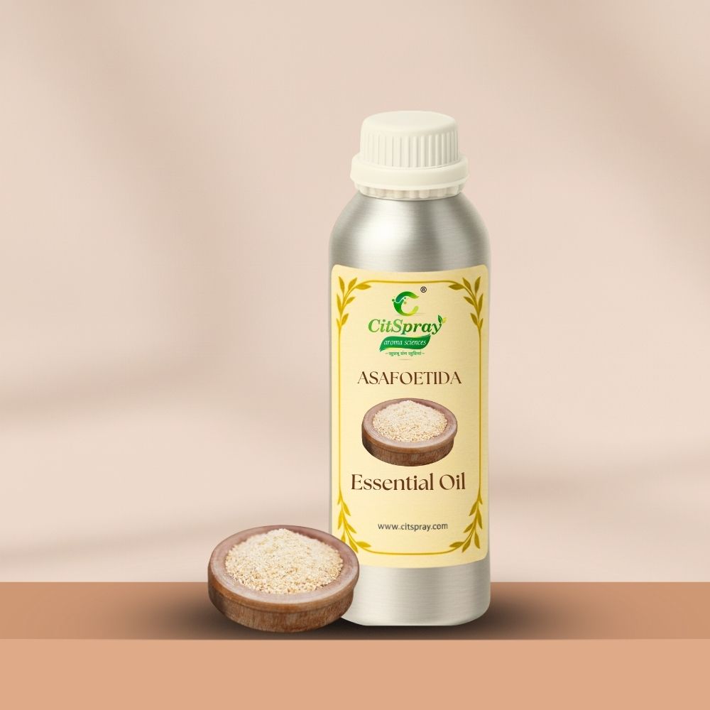 Asafoetida (Hing) Essential Oil – Digestive Aid