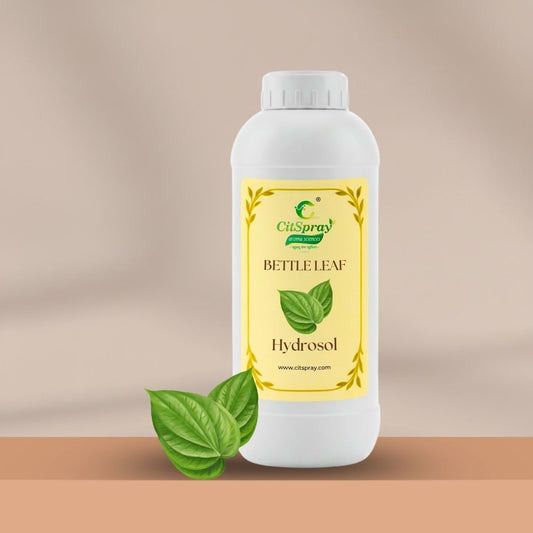 Bettle leaf Hydrosol – Skin Purification