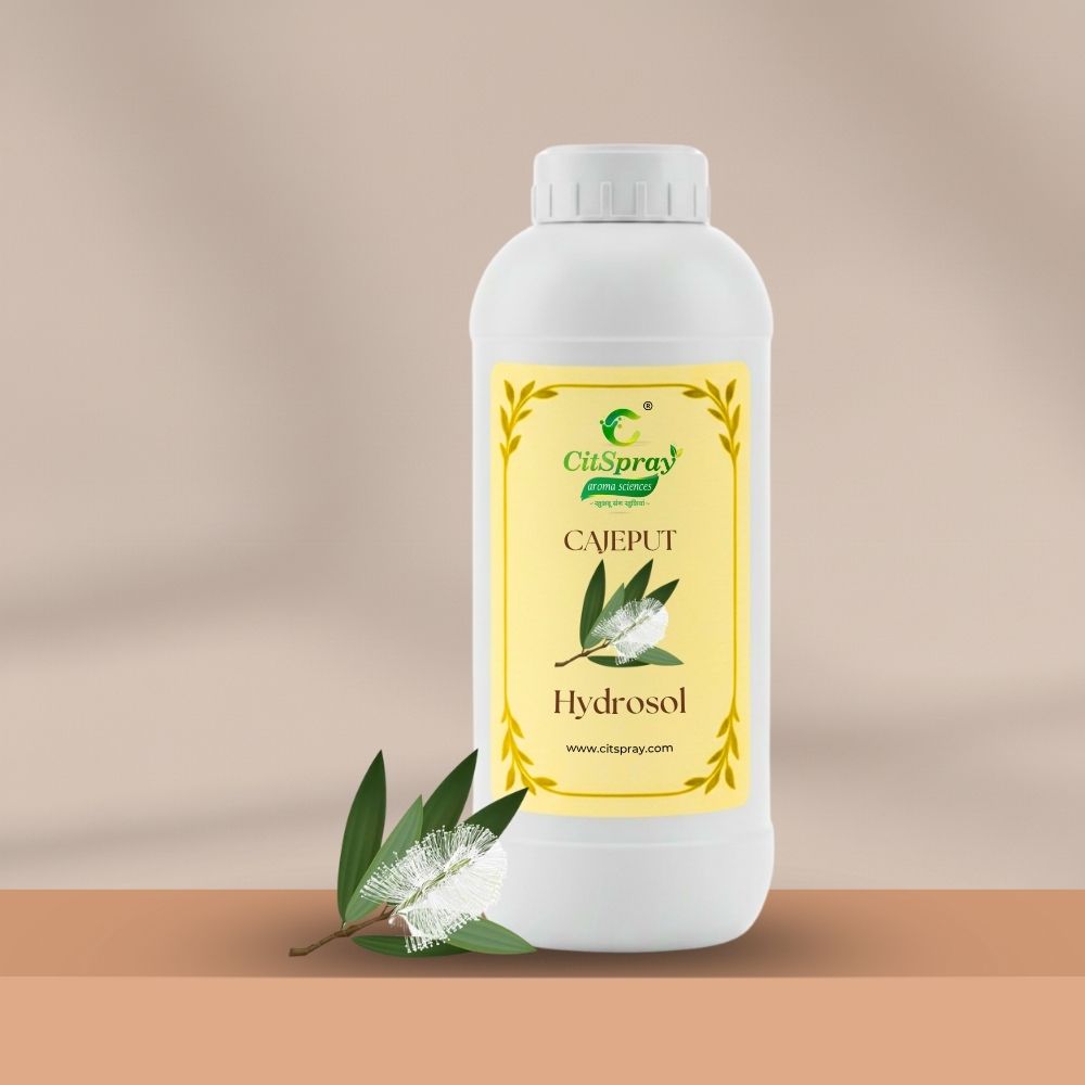 Cajeput Hydrosol – Respiratory Support