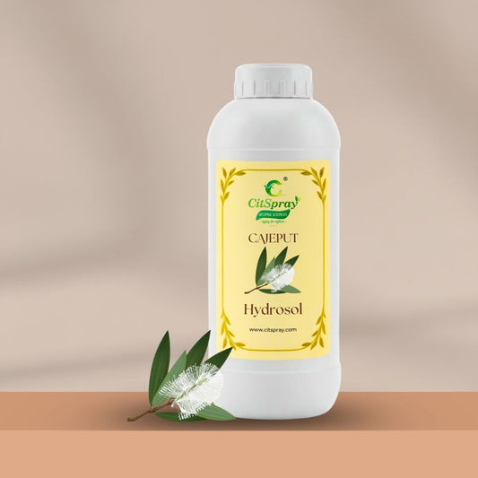 Cajeput Hydrosol – Respiratory Support