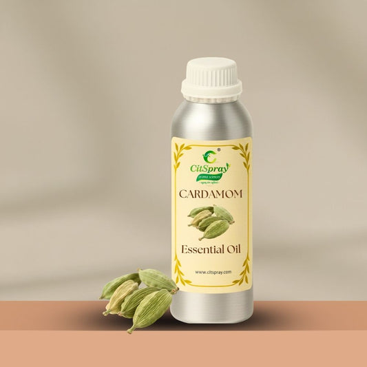 Cardamom Essential Oil – Digestive Support