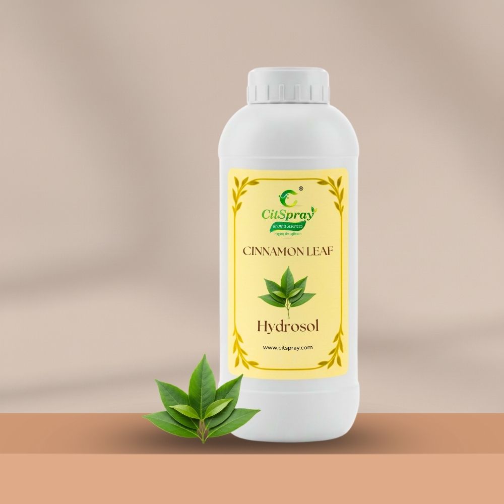 Cinnamon Leaf Hydrosol – Skin Toning