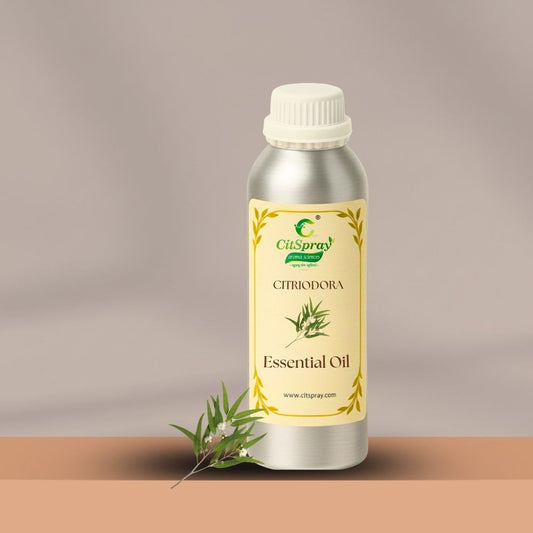 Citriodora Essential Oil – Natural Insect Repellent