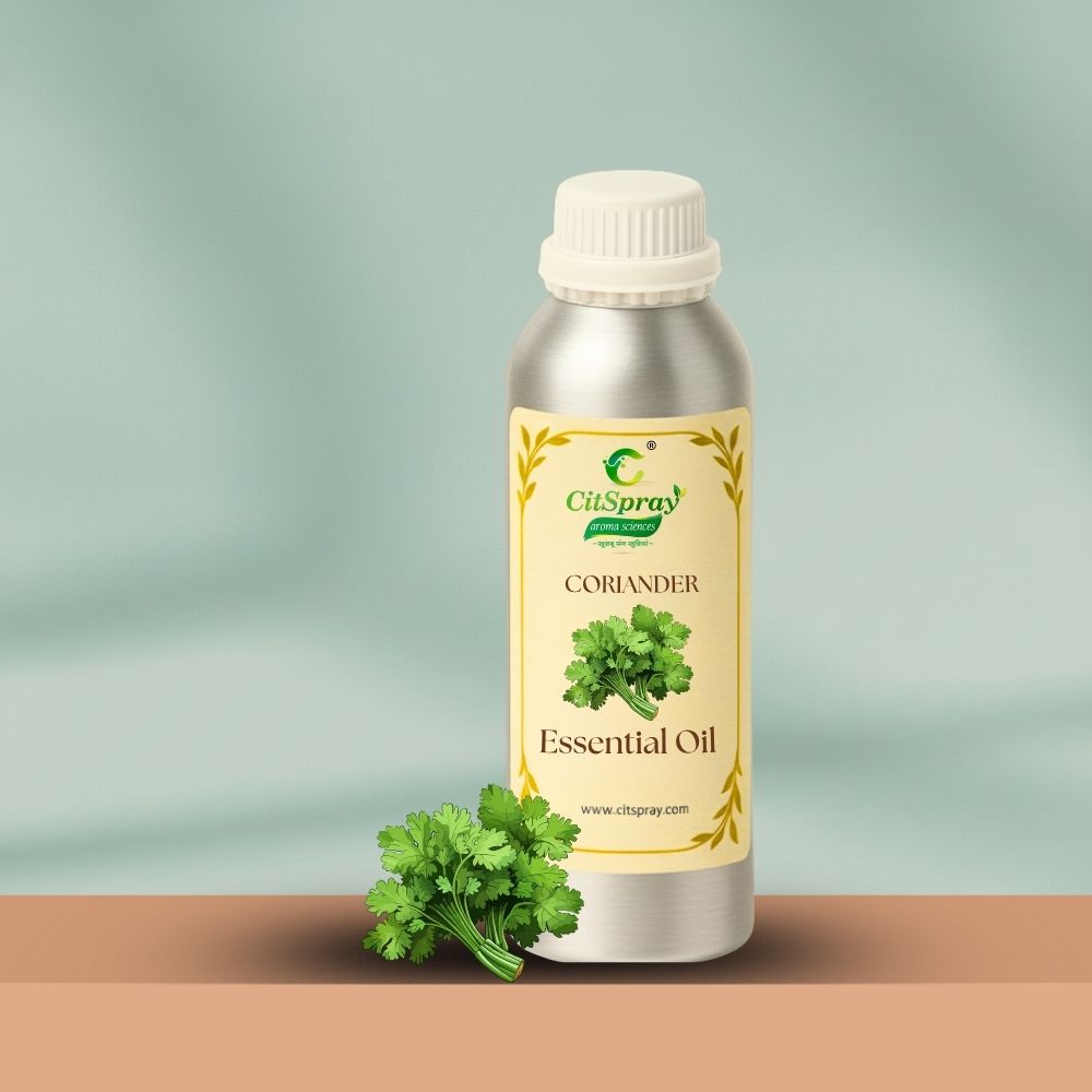 Coriander Essential Oil – Digestive Support