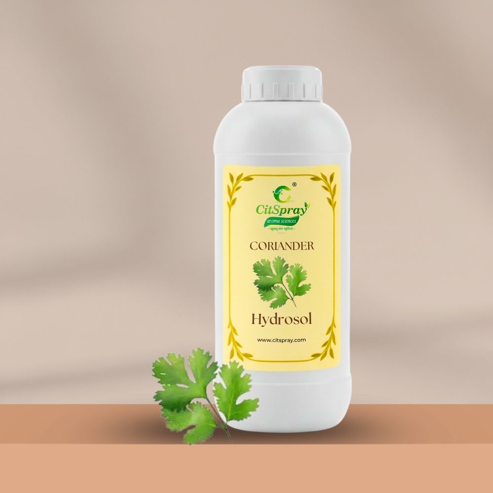 Coriander Hydrosol – Skin Balance