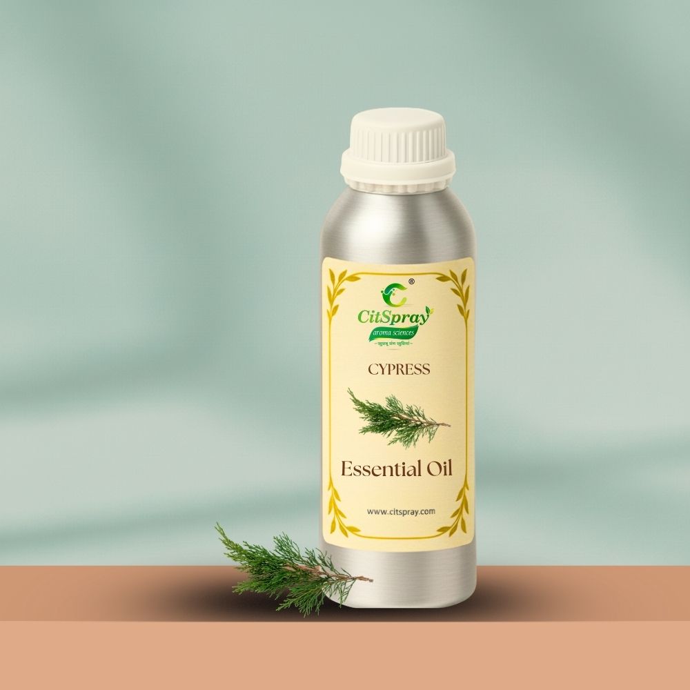 Cypress Essential Oil – Respiratory Relief
