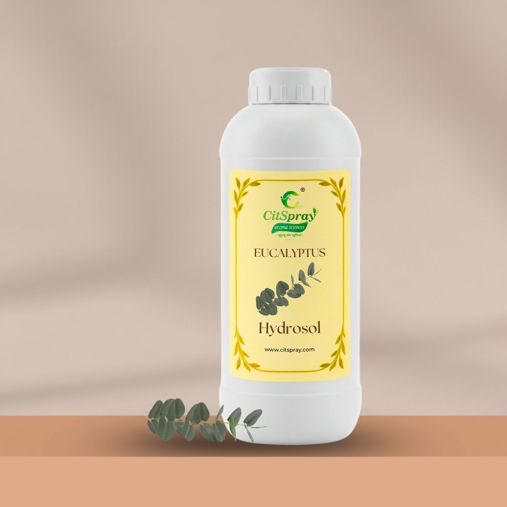Eucalyptus Hydrosol – Respiratory Support