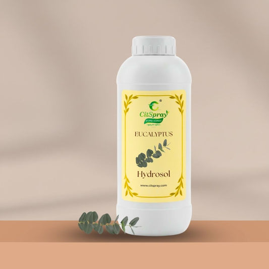 Eucalyptus Hydrosol – Respiratory Support