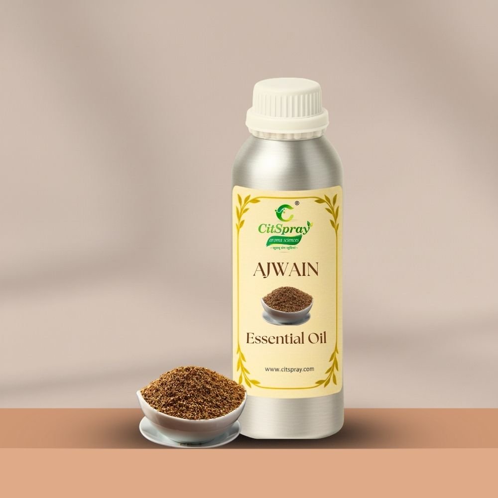 Ajwain Essential Oil – Digestion Support - CitSpray