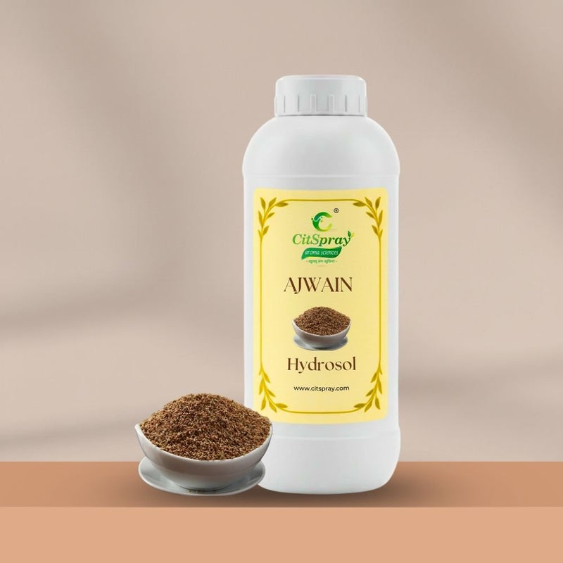 Ajwain Hydrosol – Digestive Support - CitSpray