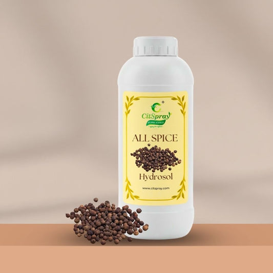 All Spice Hydrosol – Warming Comfort - CitSpray