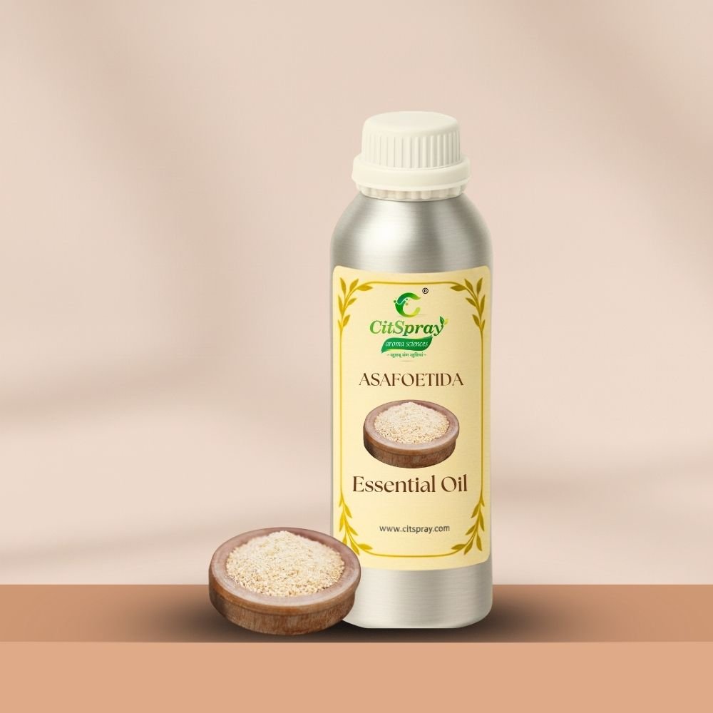 Asafoetida (Hing) Essential Oil – Digestive Aid - CitSpray