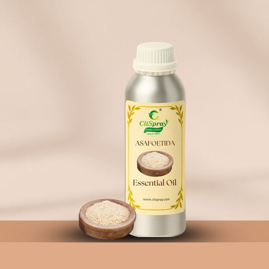 Asafoetida (Hing) Essential Oil – Digestive Aid - CitSpray