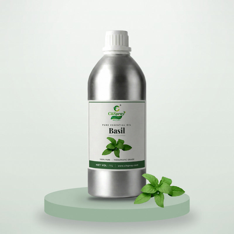 Basil essential oil by CitSpray in a 1 litre aluminium bottle with fresh basil leaves