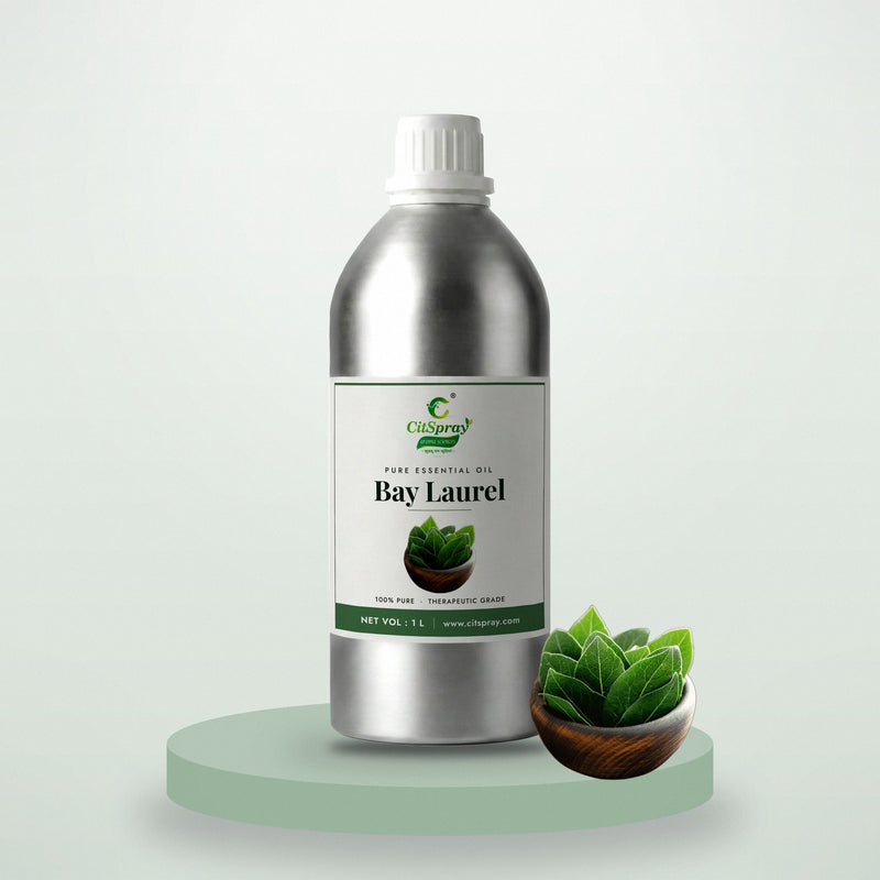 Bay Laurel essential oil by CitSpray in a 1 litre aluminium bottle with bay laurel leaves