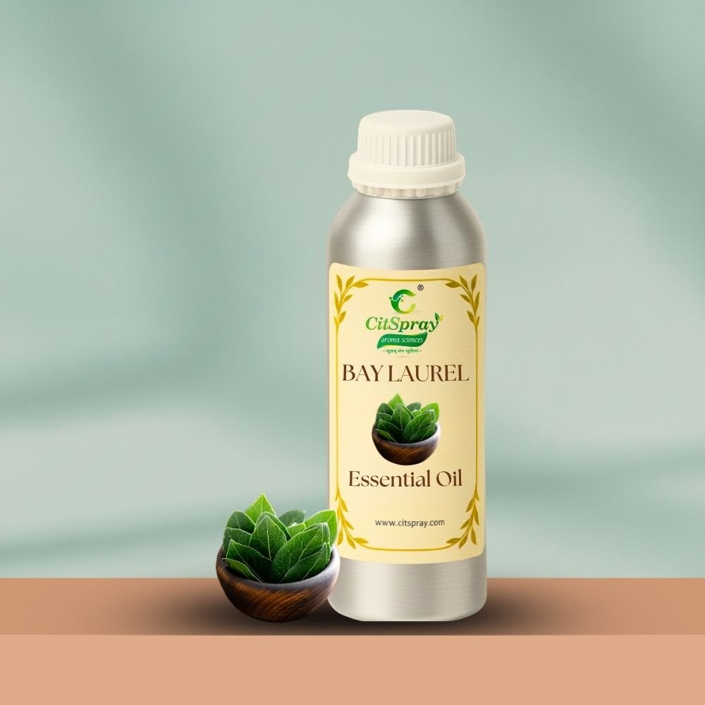 Bay Laurel Essential Oil – Hair Growth - CitSpray