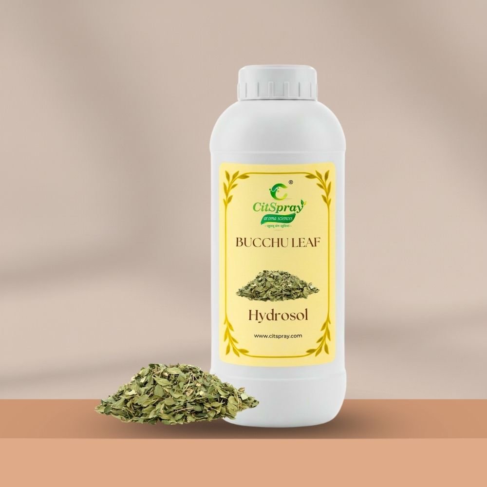 Bucchu Leaf Hydrosol – Skin Clarity - CitSpray