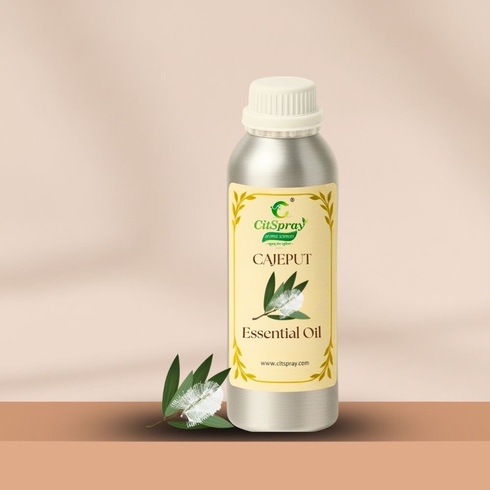 Cajeput Essential Oil – Respiratory Support - CitSpray