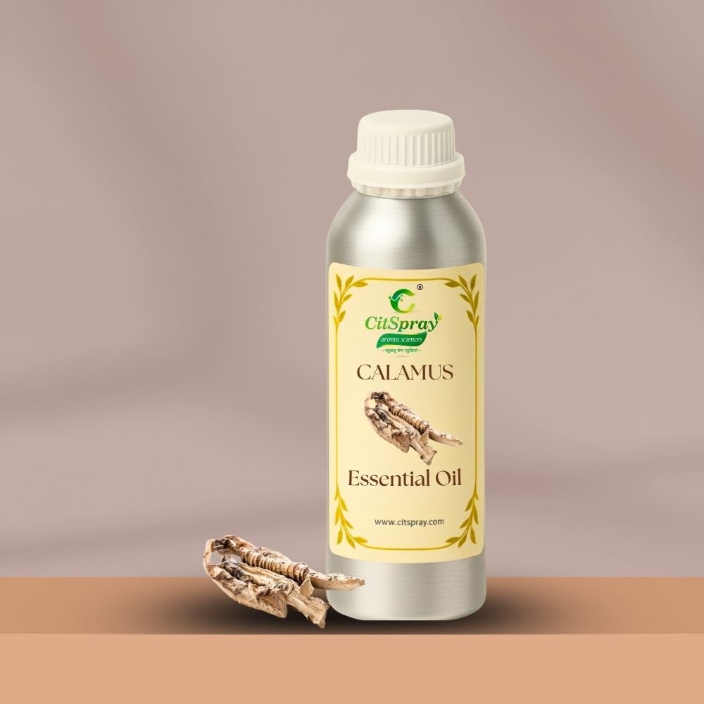 Calamus Essential Oil – Mental Clarity - CitSpray