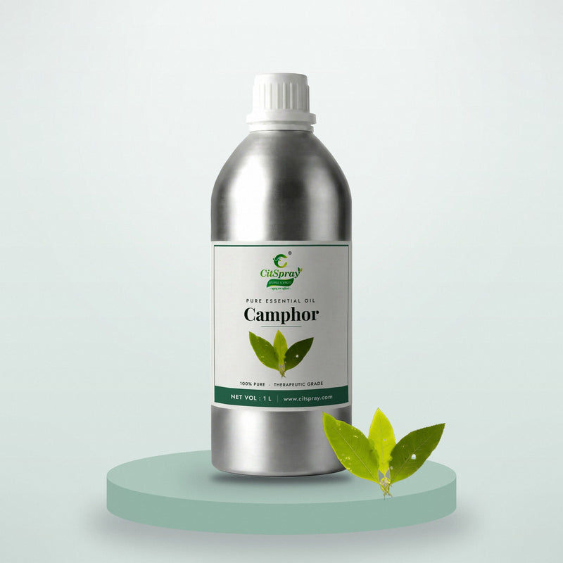 Camphor Essential Oil
