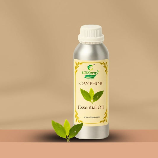 Camphor Essential Oil – Respiratory Support - CitSpray