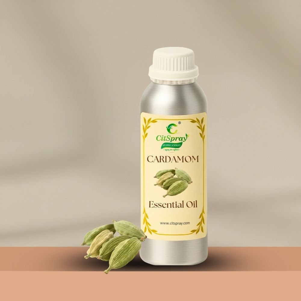 Cardamom Essential Oil – Digestive Support - CitSpray