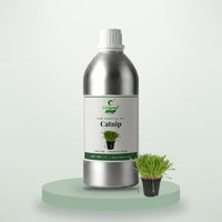 Catnip essential oil by CitSpray in a 1 litre aluminium bottle with catnip leaves thumbnail 1