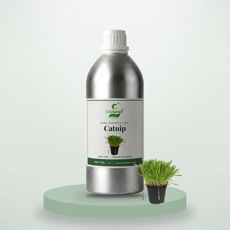 Catnip essential oil by CitSpray in a 1 litre aluminium bottle with catnip leaves