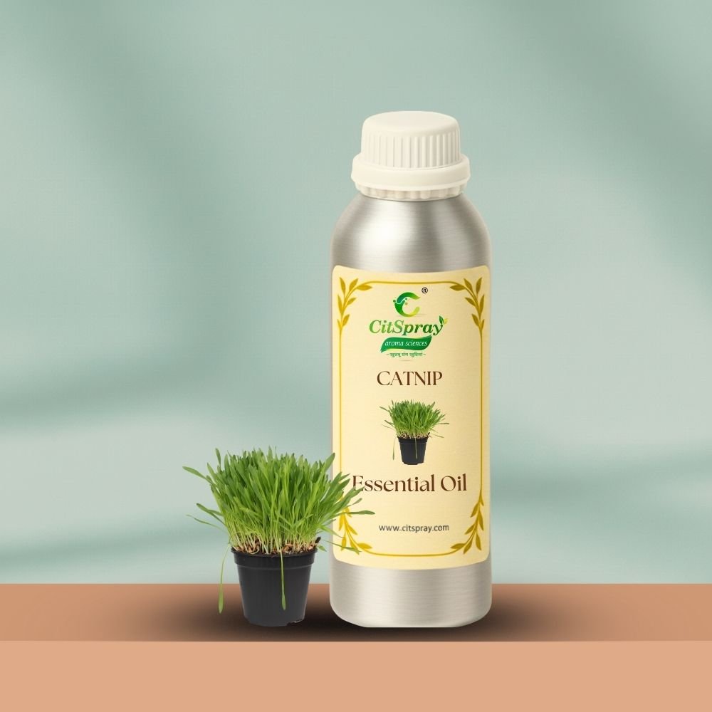 Catnip Essential Oil – Cat Attraction - CitSpray