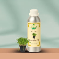 Catnip Essential Oil – Cat Attraction - CitSpray thumbnail 1