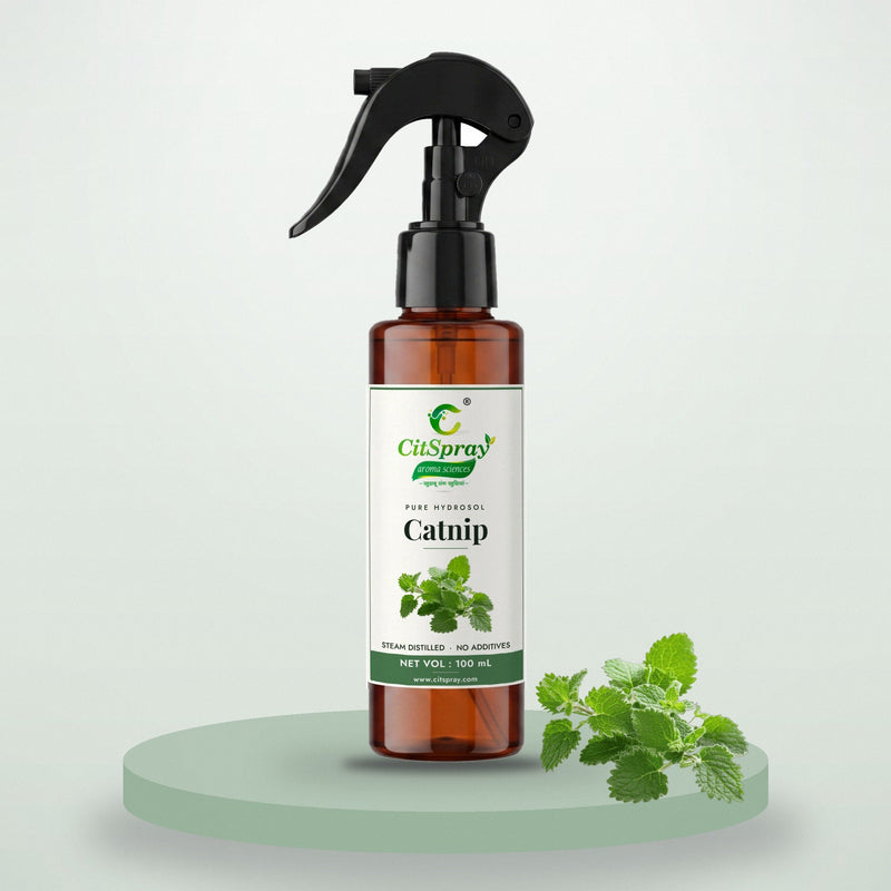 Catnip Hydrosol - CitSpray