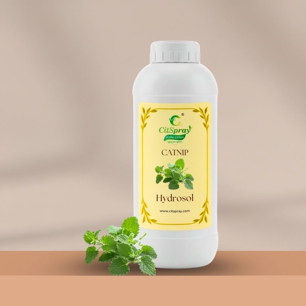 Catnip Hydrosol – Feline Bliss - CitSpray