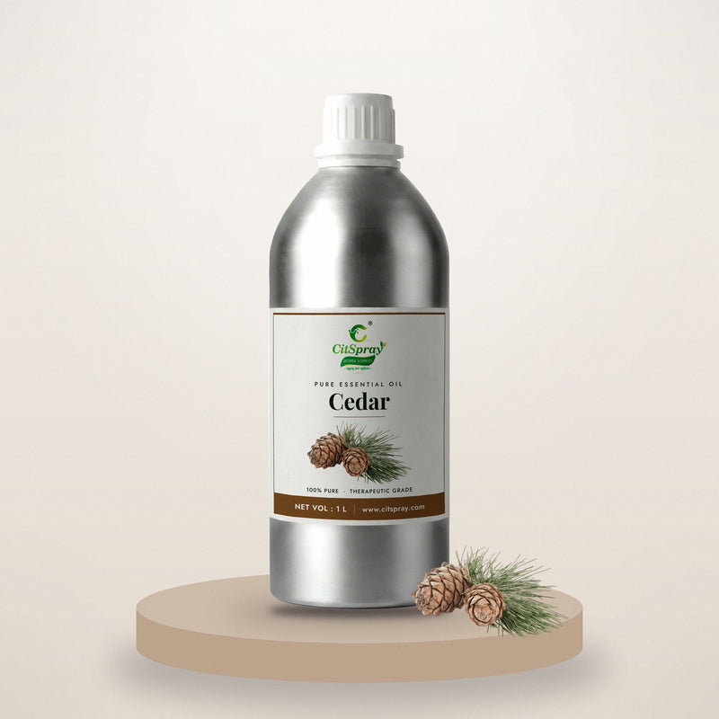 Cedar Essential Oil
