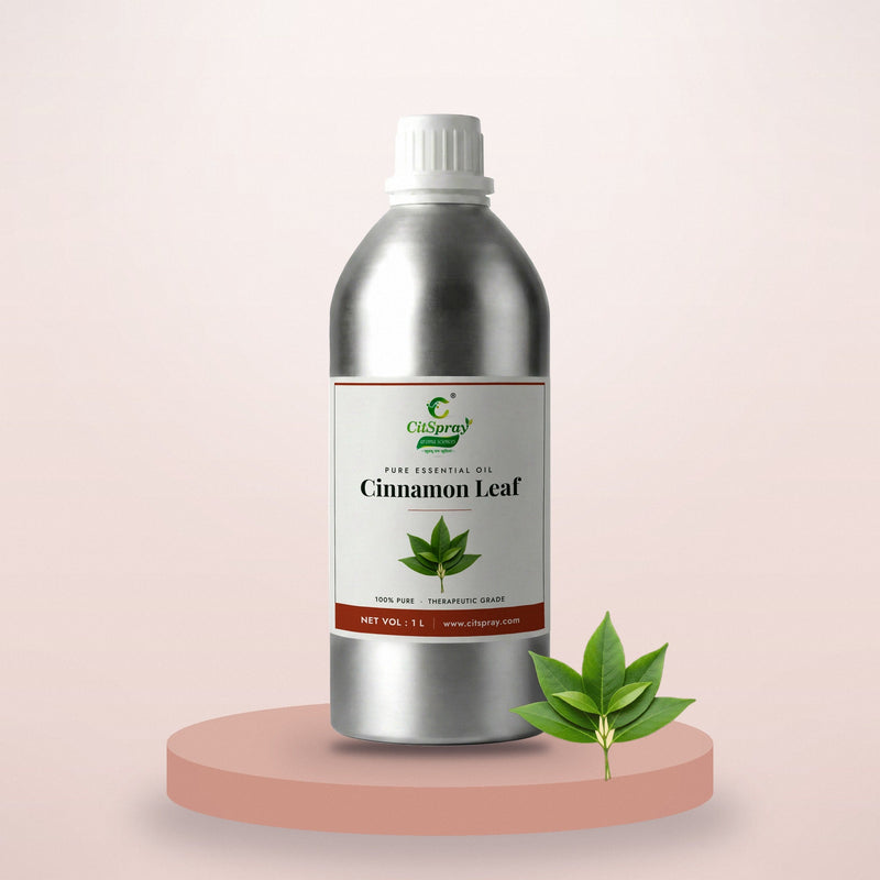 Cinnamon leaf essential oil by CitSpray in a 1 litre aluminium bottle with cinnamon leaves