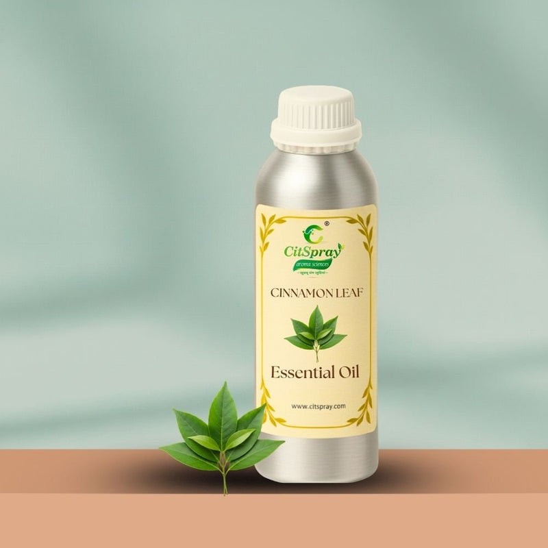 Cinnamon leaf Essential Oil – Warming Comfort - CitSpray