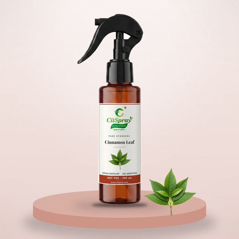 Cinnamon Leaf Hydrosol - CitSpray