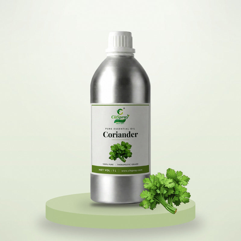 Coriander essential oil by CitSpray in a 1 litre aluminium bottle with coriander seeds