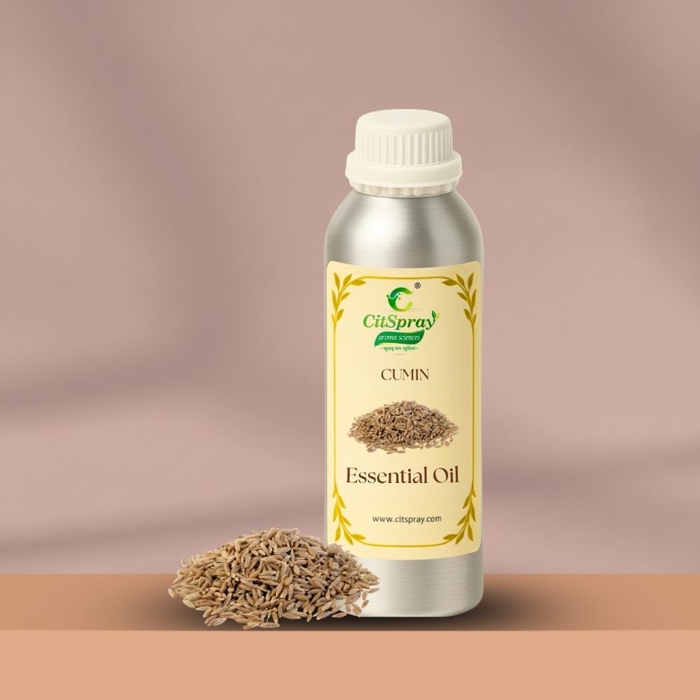 Cumin Essential Oil – Digestion Support - CitSpray