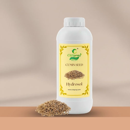 Cumin Seed Hydrosol – Skin Purification - CitSpray