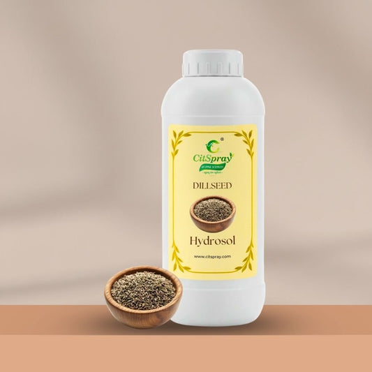Dillseed Hydrosol – Digestive Comfort - CitSpray