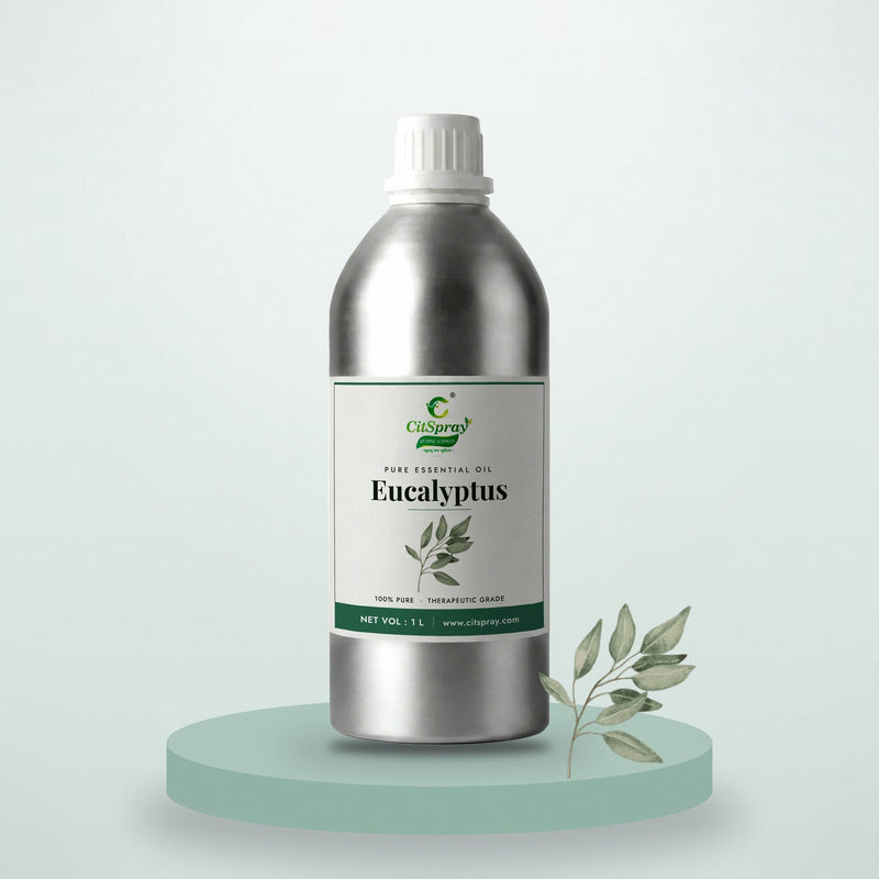 Eucalyptus Essential Oil