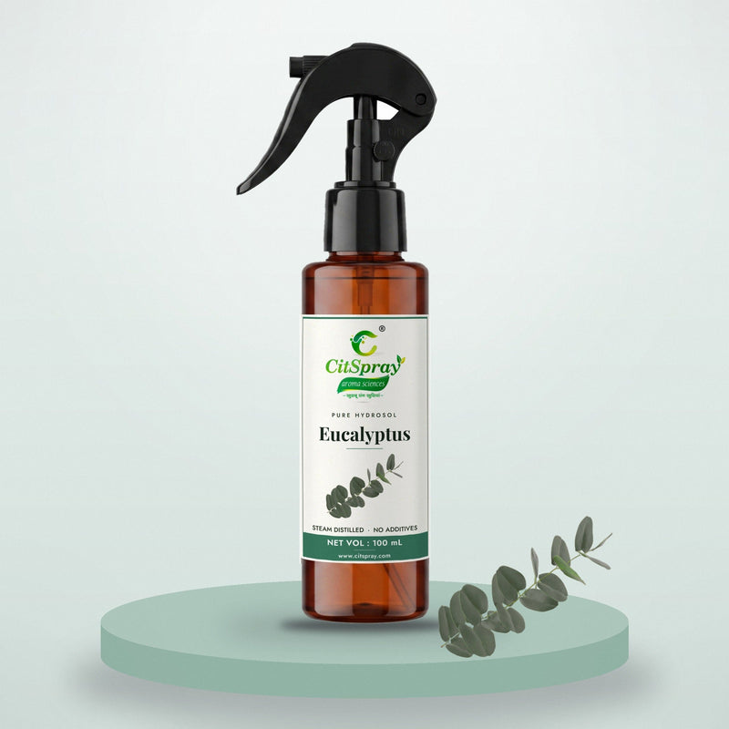 Eucalyptus Hydrosol - CitSpray