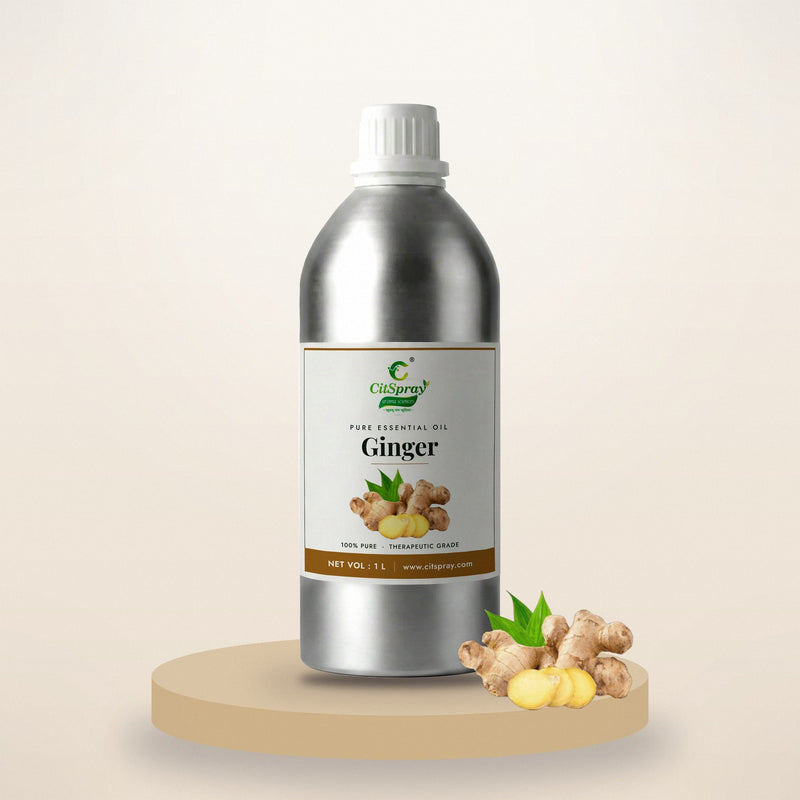 Ginger essential oil by CitSpray in a 1 litre aluminium bottle with fresh ginger root