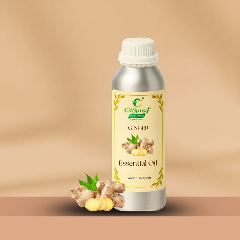 Ginger Essential Oil – Digestion - CitSpray